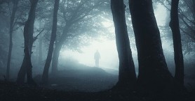 Zhadn vrady!  - Marie, 36 let, Frdek-Mstek