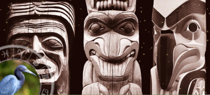 Totemov zve pro tden 16.-20.8.: MODR VOLAVKA