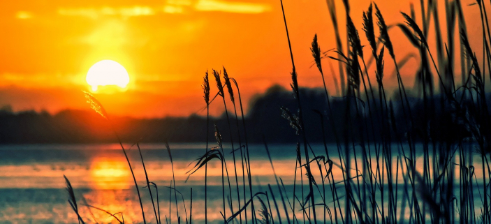 Slunce budi pochvleno