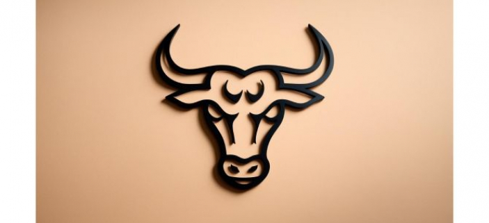 NASTV OBDOB BKA! Charakteristika znamen a co vm pinese Slunce v Bku